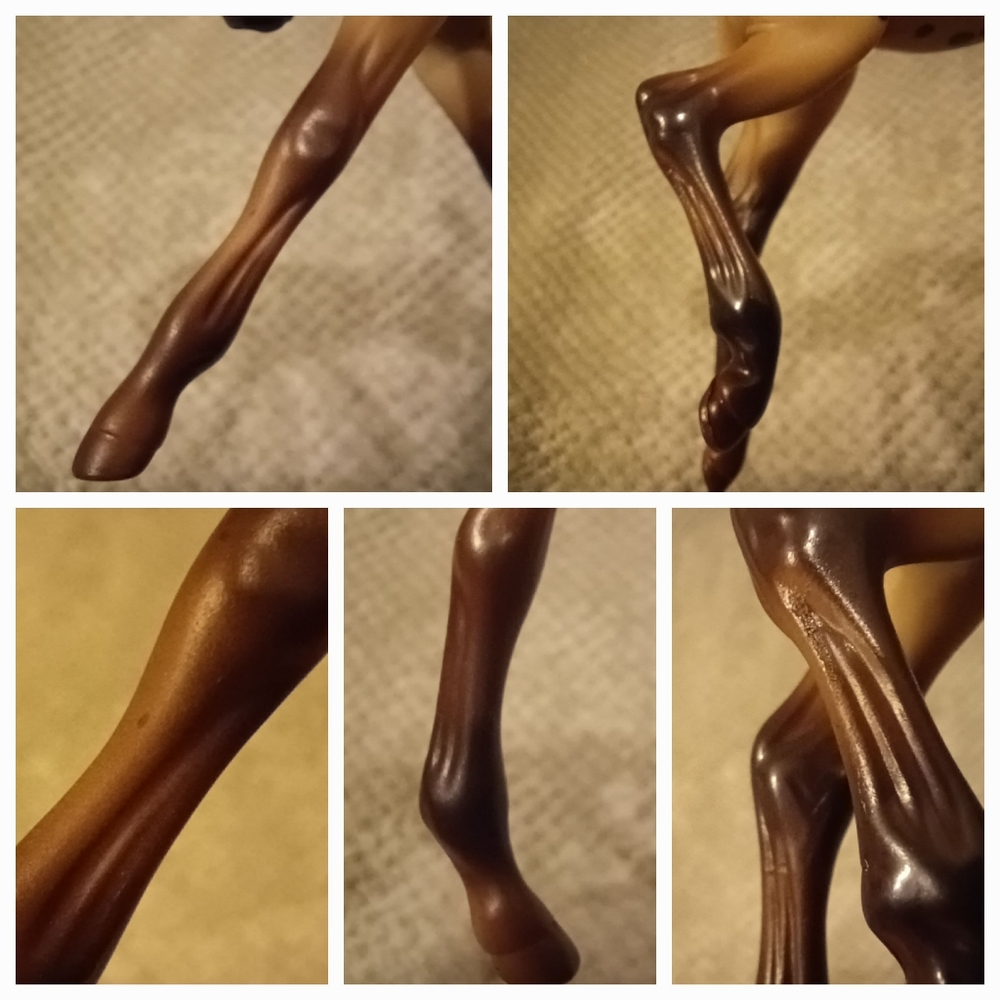 Breyer Dakotah - Picture 14 of 15